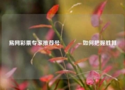易网彩票专家推荐号👉如何把握胜算