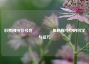 彩票网推荐号码🎖️揭秘摇号中的科学与技巧