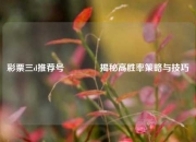 彩票三d推荐号🌈揭秘高胜率策略与技巧