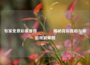 专家免费彩票推荐🥉揭秘背后真相与风险规避策略