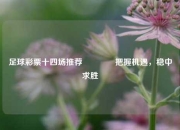 足球彩票十四场推荐🥉把握机遇，稳中求胜