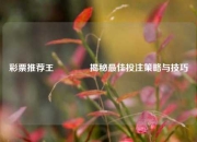 彩票推荐王🌈揭秘最佳投注策略与技巧