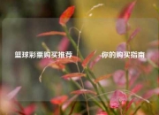篮球彩票购买推荐🥈你的购买指南