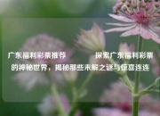 广东福利彩票推荐🏆探索广东福利彩票的神秘世界，揭秘那些未解之谜与惊喜连连