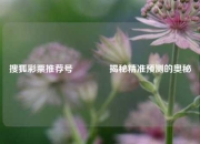 搜狐彩票推荐号🥉揭秘精准预测的奥秘