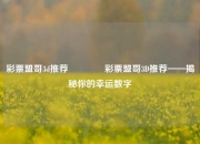 彩票盟哥3d推荐🌈彩票盟哥3D推荐——揭秘你的幸运数字