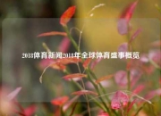 2018体育新闻2018年全球体育盛事概览