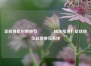 足彩胜负彩票推荐🥉精准预测！足球胜负彩票推荐系统