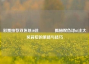彩票推荐双色球60注👍揭秘双色球60注大奖背后的策略与技巧