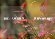 彩票333大乐透推荐🥉策略与技巧解析