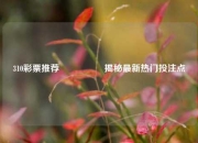 310彩票推荐🎖️揭秘最新热门投注点