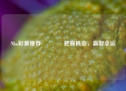 Nba彩票推荐👈把握机会，赢取幸运