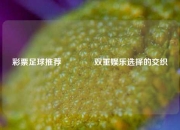 彩票足球推荐🏆双重娱乐选择的交织