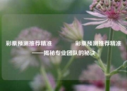 彩票预测推荐精准👉彩票预测推荐精准——揭秘专业团队的秘诀