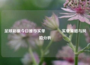足球彩票今日推荐实单🥇实单策略与风险分析