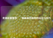 竞猜彩票推荐✌️揭秘高回报率的玩法与技巧