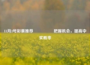 11月3号彩票推荐🎖️把握机会，提高中奖概率
