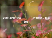 足球彩票今日推荐🎖️把握机遇，提高胜算