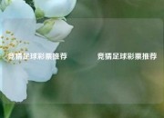 竞猜足球彩票推荐🏅竞猜足球彩票推荐