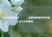 彩票预测推荐网🥈彩票预测推荐网的崛起与未来展望