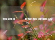 推荐彩票号🏅推荐彩票号码的策略与技巧