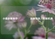 小盘彩票推荐🎖️洞察市场，把握机遇