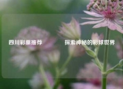 四川彩票推荐🥉探索神秘的彩球世界