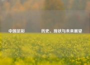 中国足彩🏆历史、现状与未来展望