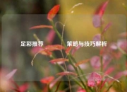 足彩推荐🏅策略与技巧解析
