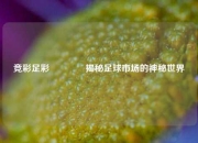 竞彩足彩🏆揭秘足球市场的神秘世界