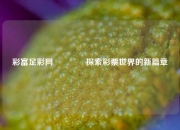 彩富足彩网🌈探索彩票世界的新篇章