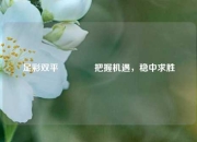 足彩双平🏆把握机遇，稳中求胜
