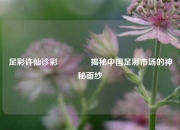 足彩许仙诊彩👈揭秘中国足彩市场的神秘面纱