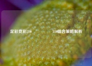 足彩竞彩310🎖️310组合策略解析