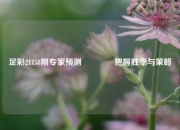 足彩21158期专家预测🏅把握胜率与策略