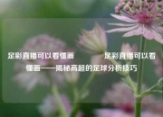 足彩直播可以看懂画👍足彩直播可以看懂画——揭秘高超的足球分析技巧