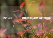 足彩16199🥈揭秘欧洲杯竞猜背后的奥秘