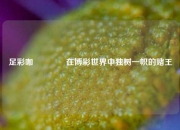 足彩咖🏅在博彩世界中独树一帜的赌王
