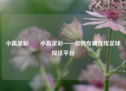 小赢足彩✌️小赢足彩——您的专属在线足球投注平台