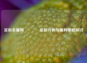 足彩会盈利🌈足彩分析与盈利策略探讨