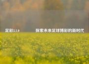 足彩3.1.0🥈探索未来足球博彩的新时代