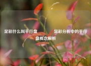 足彩什么叫平行盘🥇足彩分析中的平行盘概念解析