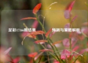 足彩17166期结果🌈预测与策略解析