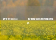 老牛足彩17001🌈探索中国彩票的神秘面纱