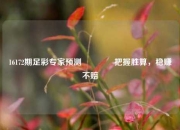 16172期足彩专家预测👈把握胜算，稳赚不赔