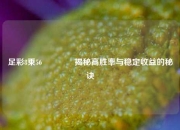 足彩8乘56🥈揭秘高胜率与稳定收益的秘诀