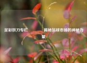 足彩妖刀专栏👉揭秘足球市场的神秘力量
