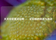 天天中彩票足彩群✌️足彩群的奇迹与挑战