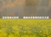 足彩预测分析网✌️揭秘未来赛事的胜负关键