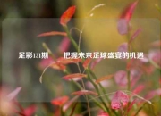 足彩131期✌️把握未来足球盛宴的机遇